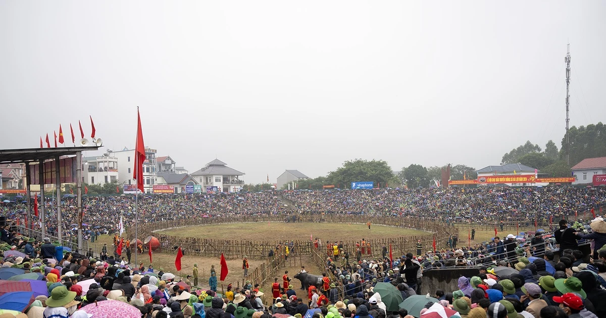 Văn Hóa Lễ hội chọi trâu Hải Lựu Xuân Bính Ngọ 2026